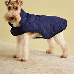 JOULES - NAVY QUILTED COAT Dog Coat Jules