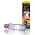 Exo terra Daytime heat lamp 15w the Pet MARKET