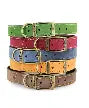 Timberwolf Luxury Leather Collar Ancol
