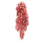 Betta Terra Red Terrarium Vine (70cm) the Pet MARKET