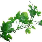 Lucky Reptile Jungle Plants Grape Leaf Vine Pet Market
