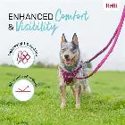 Halti walk multi lead grey Company of animals