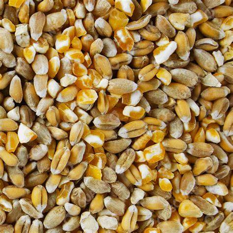 Mixed Corn Bird feed Fancy Feed