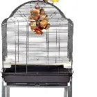 Liberta the Pet MARKET Brasil 2
