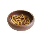Mealworm Dish KOMODO