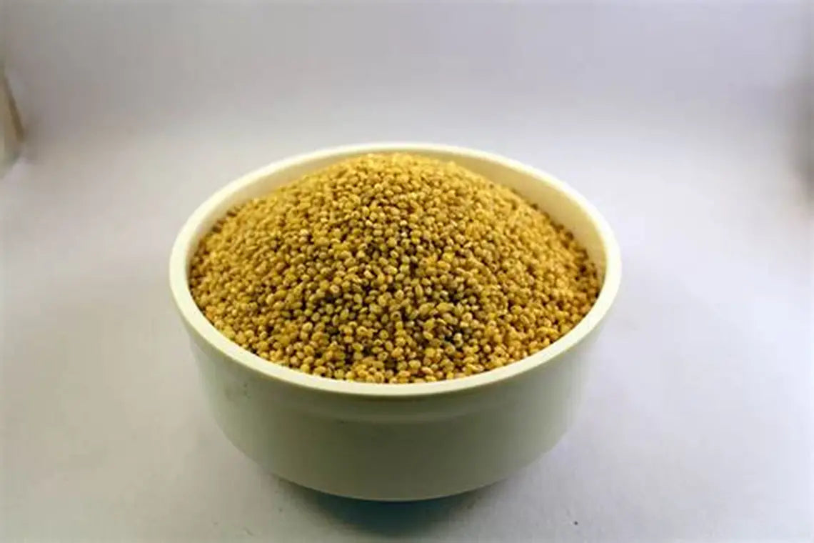 Pancium Millet Bird feed Country Wide