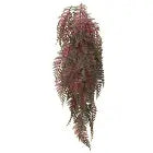 Betta Terra Purple Vine RP024 the Pet MARKET