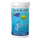 aquadip snails in shell the Pet MARKET