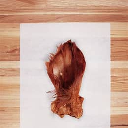Hairy Cow Ear Pet Market