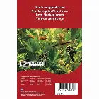 Frozen bloodworm Pet Market