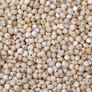 White Millet Bird feed Country Wide