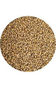 Countrywide Foreign Finch Mix bird feed in a 2kg bag, containing a colorful mix of seeds for finches and small songbirds.