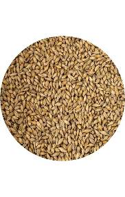 Countrywide Foreign Finch Mix bird feed in a 2kg bag, containing a colorful mix of seeds for finches and small songbirds.