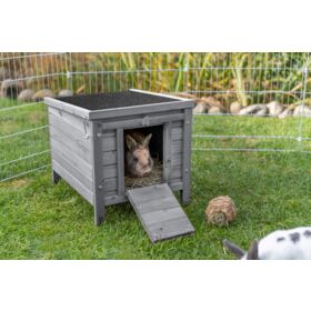 Small Animal House