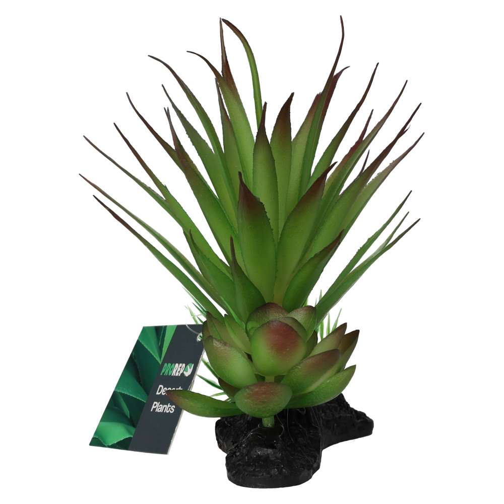 PR Agave Plant on Log 15cm PPP216 Pet Market