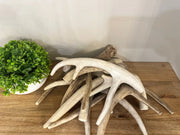 Antler Split Dog Treat Nova