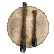 Hairy Deer Leg Pet Market