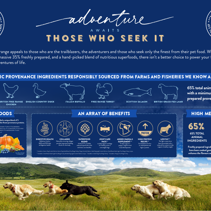 Superfood 65 Adult Dog Angus Beef Dry Complete kibble the Pet MARKET