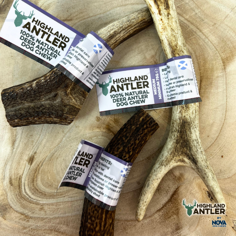 Antler Nova Medium