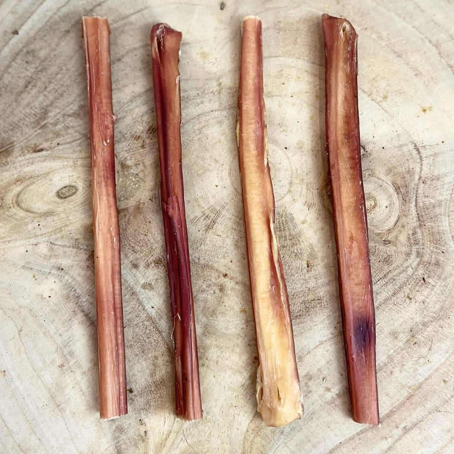 Bull Pizzle Classic Medium 24cm