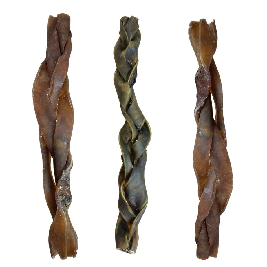 Camel Skin Braided - 30cm Dog Treat Nova