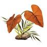 Komodo Rainforest Canopy Pet Market