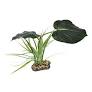 Komodo Woodland Canopy Pet Market