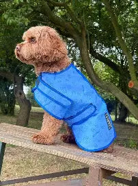 Pet cooling coat xxl Pet Market