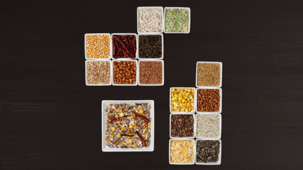 No.1 Parrot Food Bird feed Johnston & Jeff