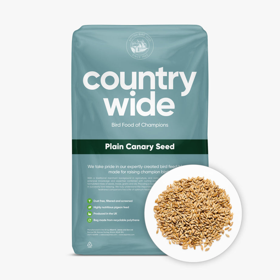 Plain Canary Seed Bird feed Country Wide