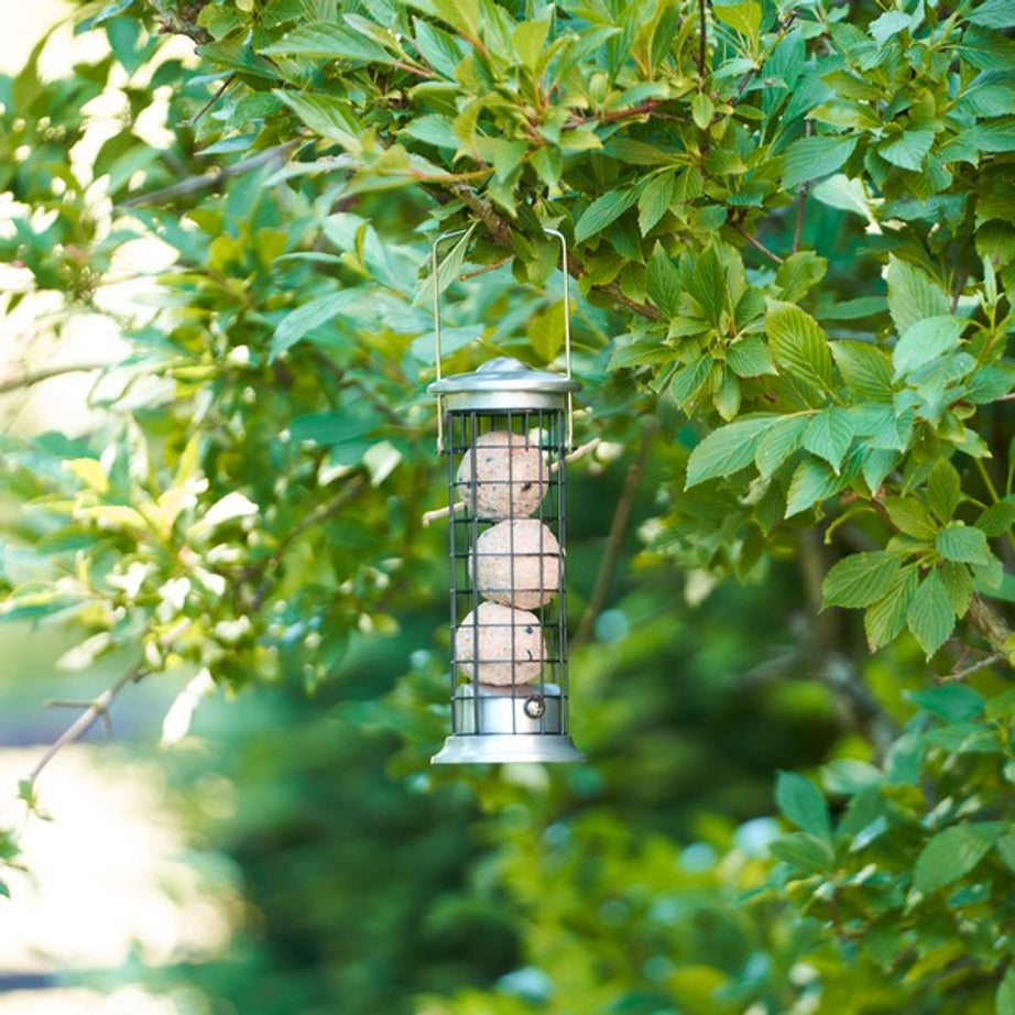 Harrisons Steel Die Cast Suet Roll and Fat Ball Feeder 20cm Bird feeder Harrisions