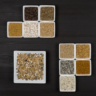 Cockatiel & Big Parakeet Bird feed Johnston & Jeff