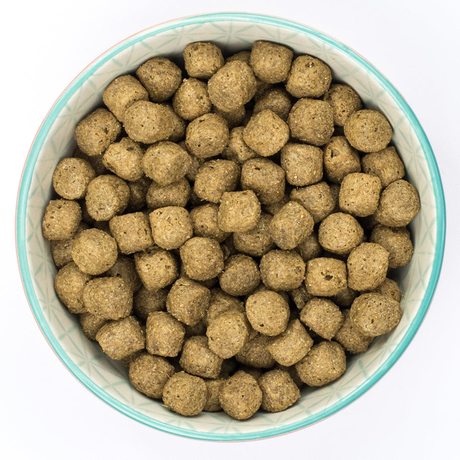 Burns Original Fish & Brown Rice Dry Complete kibble Burns