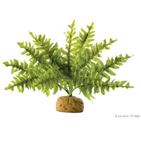 Exo Terra Boston Fern Repltile Plants Exo Terra