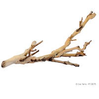 Exo Terra Forest Branch Repltile Wood Exo Terra
