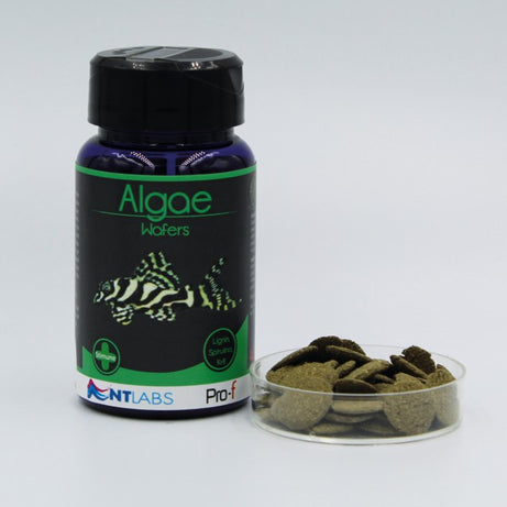 NT Labs Pro-F Algae Wafers Fish Food NT Labs