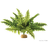 Exo Terra Boston Fern Repltile Plants Exo Terra