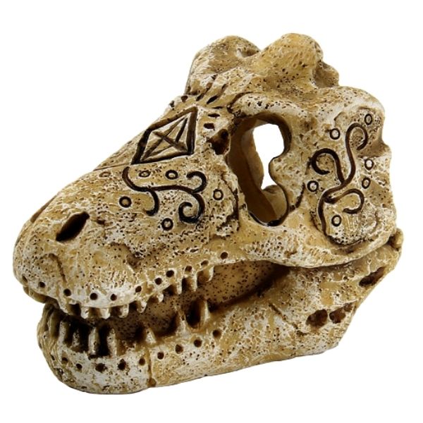 SuperFish T Rex Skull Ornament Aquarium Ornament SuperFish Small