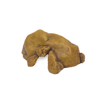 Exo Terra Reptile Cave Reptile Hide Exo Terra 2 Large