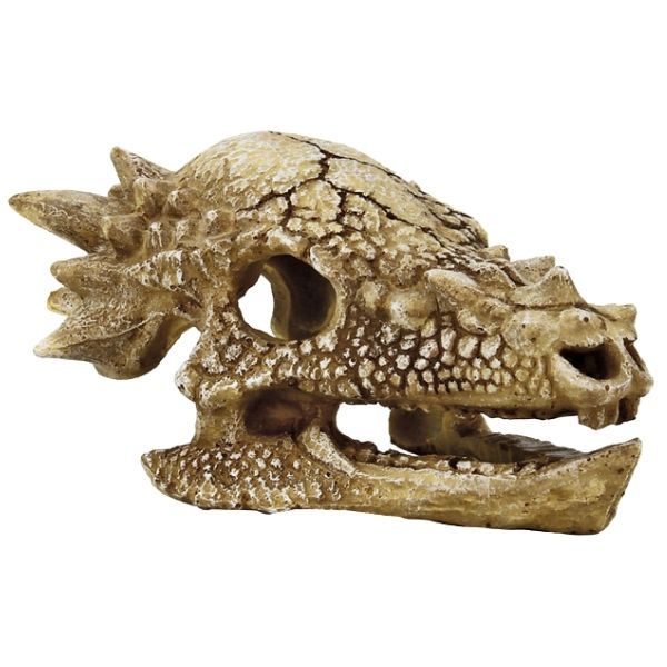 SuperFish T Rex Skull Ornament Aquarium Ornament SuperFish Medium