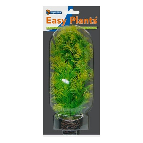SuperFish Easy Plants Middle Aquarium Plants SuperFish 5