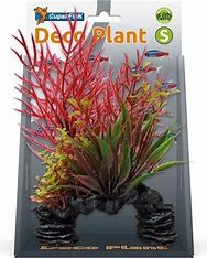 SuperFish Deco Plants Small Aquarium Plants SuperFish Ludwigia