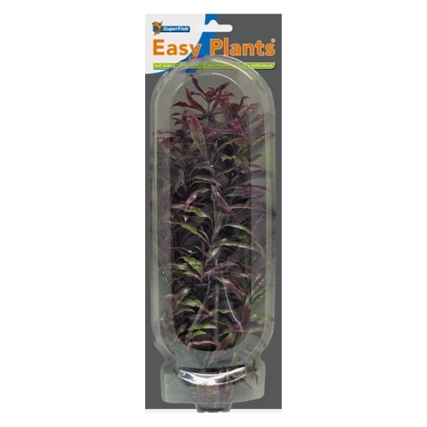 SuperFish Easy Plants High Aquarium Plants SuperFish 3
