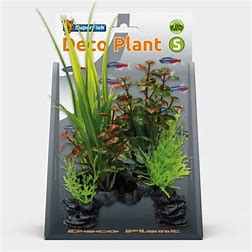 SuperFish Deco Plants Small Aquarium Plants SuperFish Rotala