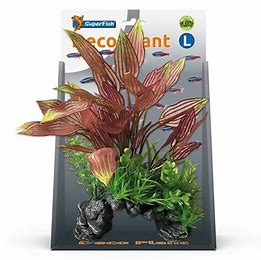 SuperFish Deco Plants Large Aquarium Plants SuperFish Henkelianus