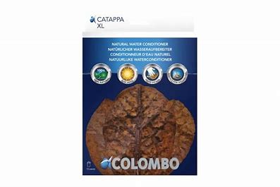 Colombo Catappa Leaves Catappa Colombo XL