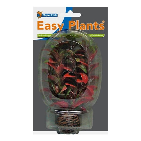 SuperFish Easy Plants Foreground Aquarium Plants SuperFish 7