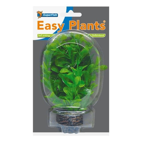 SuperFish Easy Plants Foreground Aquarium Plants SuperFish 8