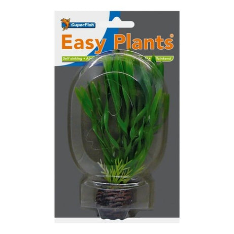 SuperFish Easy Plants Foreground Aquarium Plants SuperFish 6
