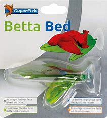SuperFish Betta Bed Betta Bed SuperFish 2 Leaves